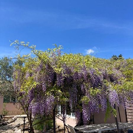 Le Clos Des Olivettes Sainte-Croix-de-Quintillargues Экстерьер фото