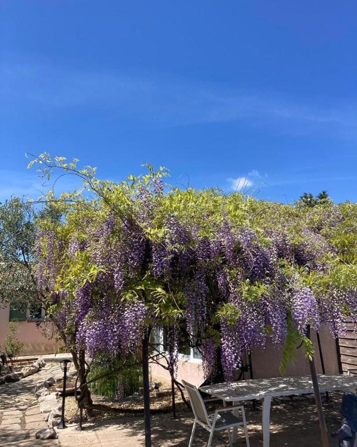 Le Clos Des Olivettes Sainte-Croix-de-Quintillargues Экстерьер фото
